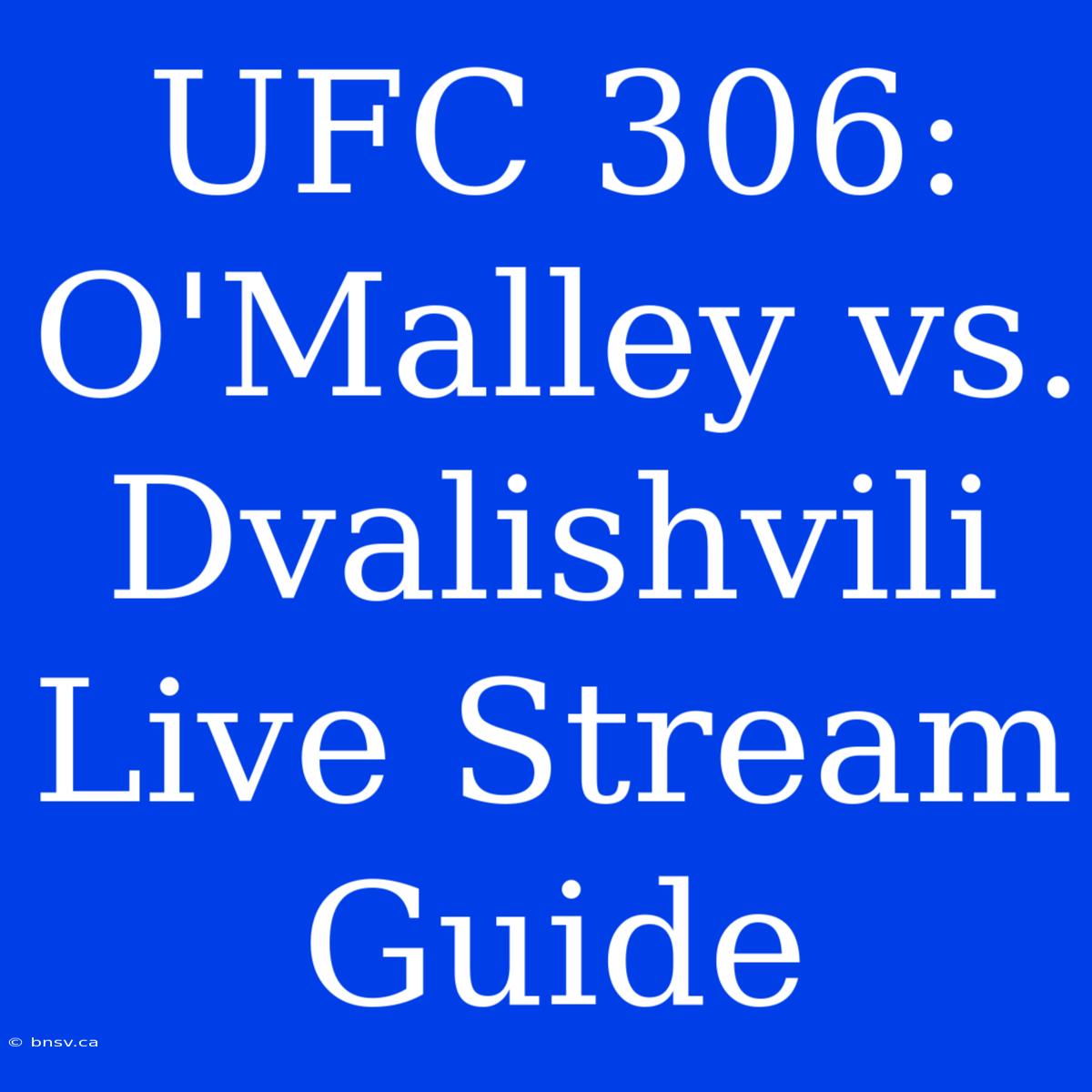 UFC 306: O'Malley Vs. Dvalishvili Live Stream Guide