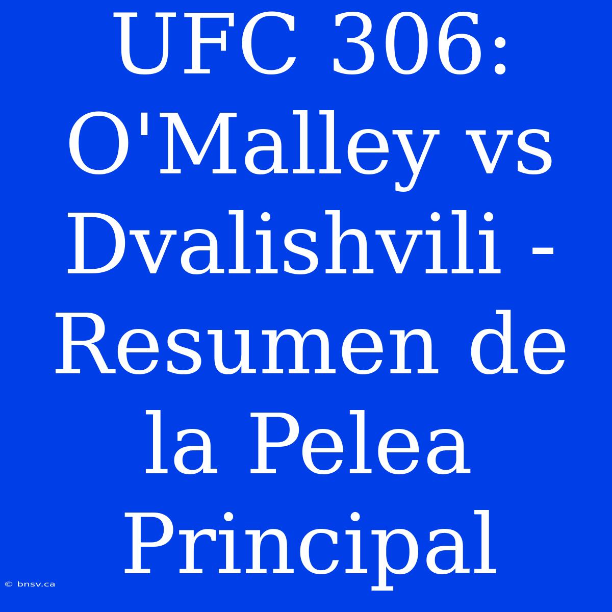 UFC 306: O'Malley Vs Dvalishvili - Resumen De La Pelea Principal