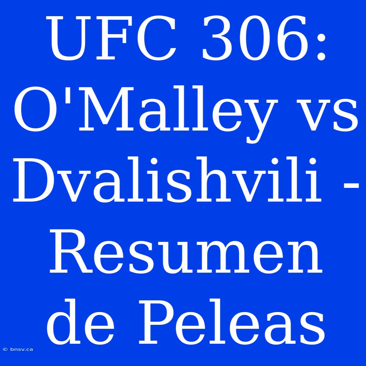 UFC 306: O'Malley Vs Dvalishvili - Resumen De Peleas