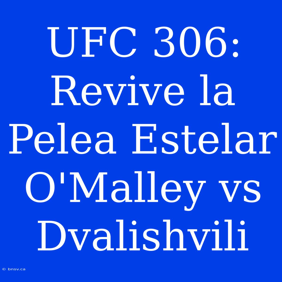 UFC 306: Revive La Pelea Estelar O'Malley Vs Dvalishvili