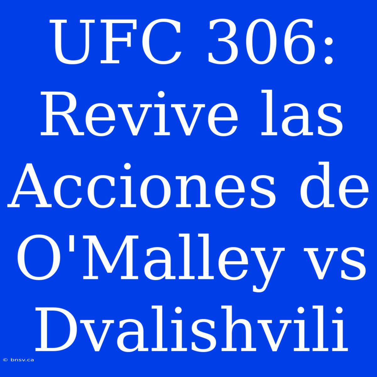 UFC 306: Revive Las Acciones De O'Malley Vs Dvalishvili