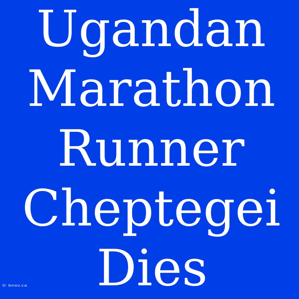 Ugandan Marathon Runner Cheptegei Dies