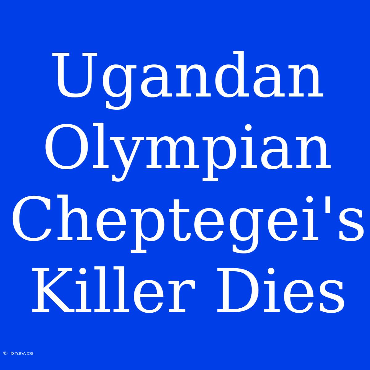 Ugandan Olympian Cheptegei's Killer Dies