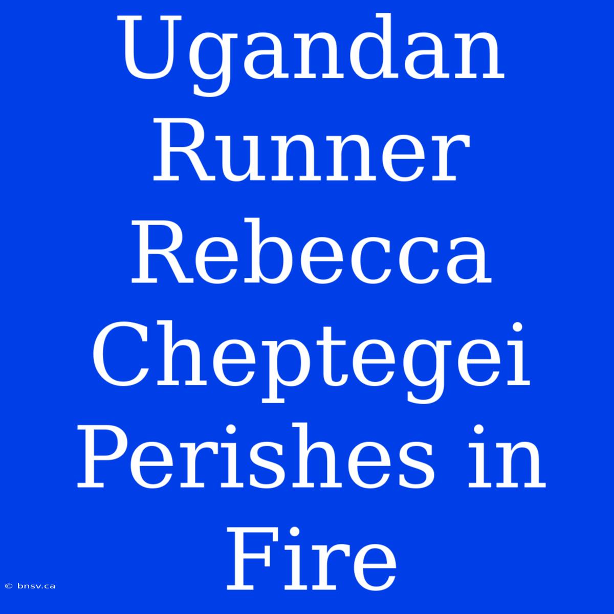 Ugandan Runner Rebecca Cheptegei Perishes In Fire