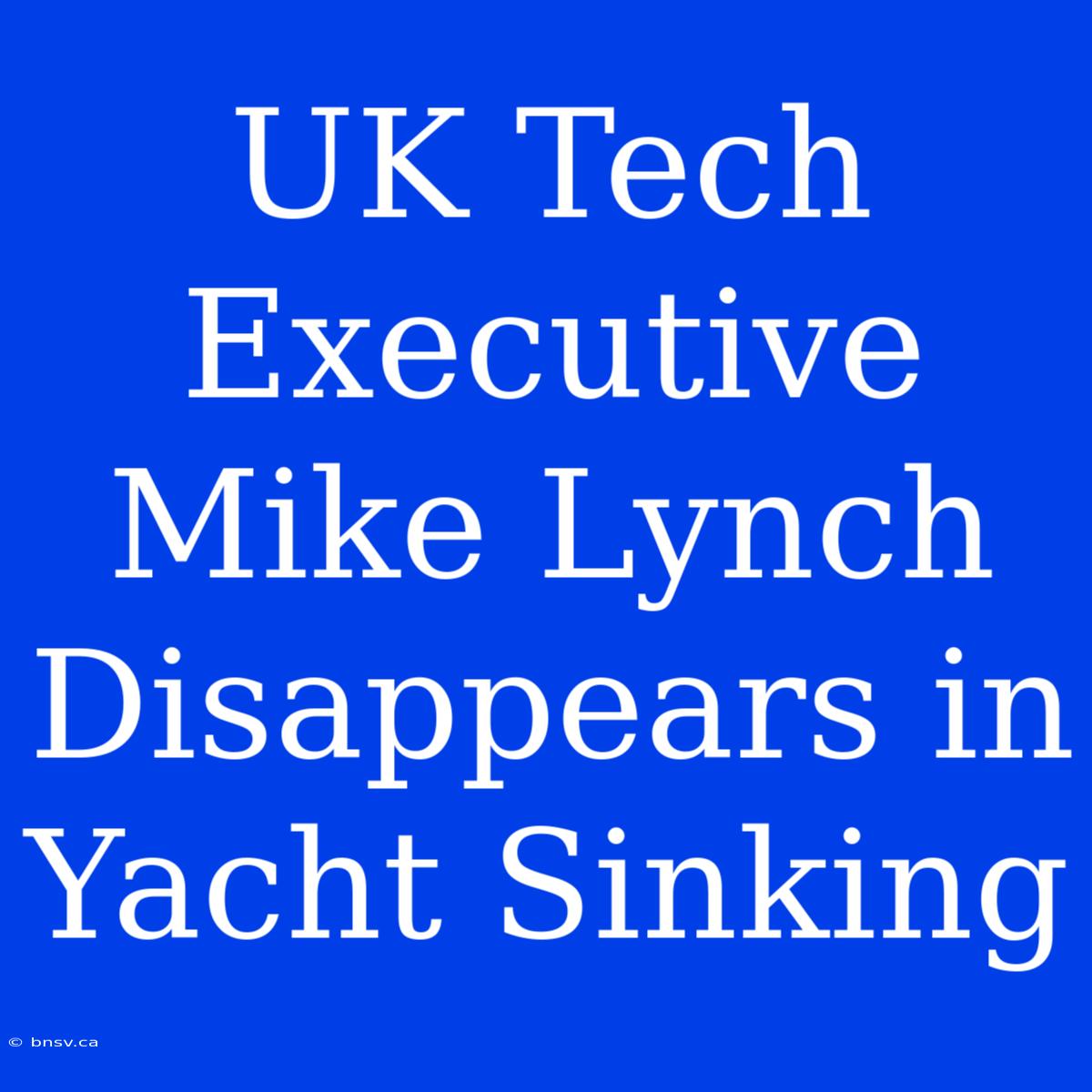 UK Tech Executive Mike Lynch Disappears In Yacht Sinking