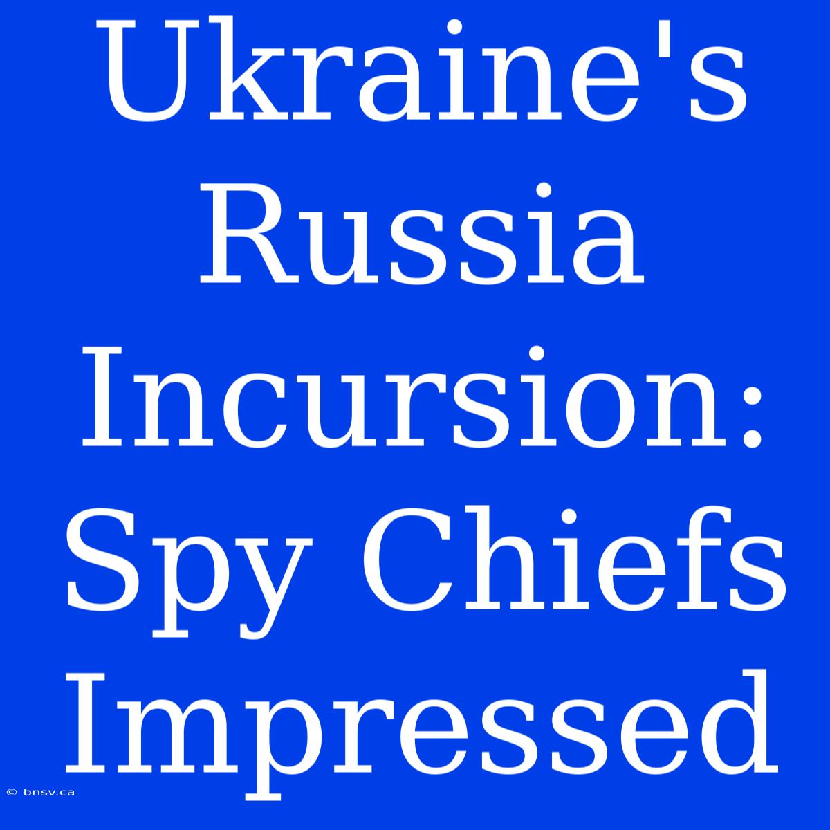 Ukraine's Russia Incursion: Spy Chiefs Impressed