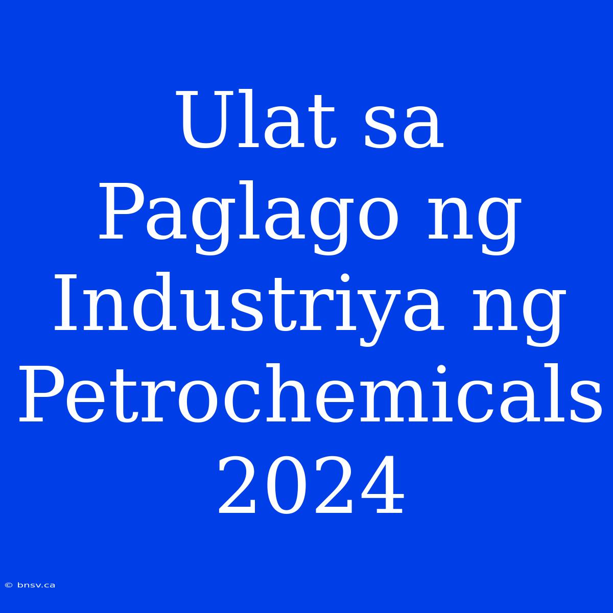 Ulat Sa Paglago Ng Industriya Ng Petrochemicals 2024