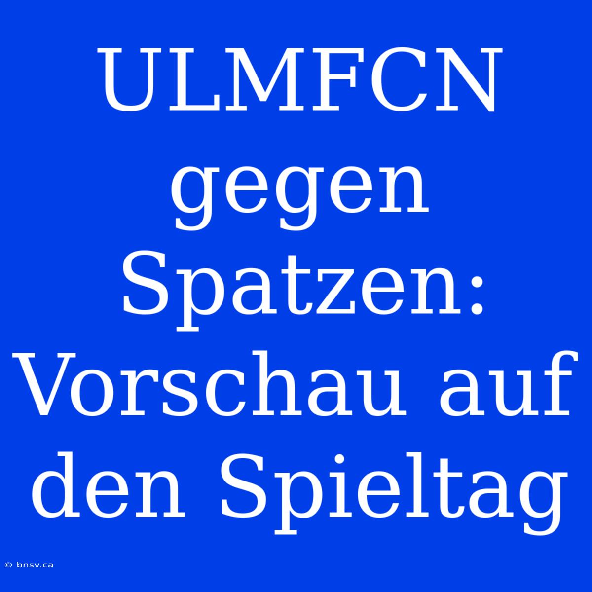 ULMFCN Gegen Spatzen: Vorschau Auf Den Spieltag