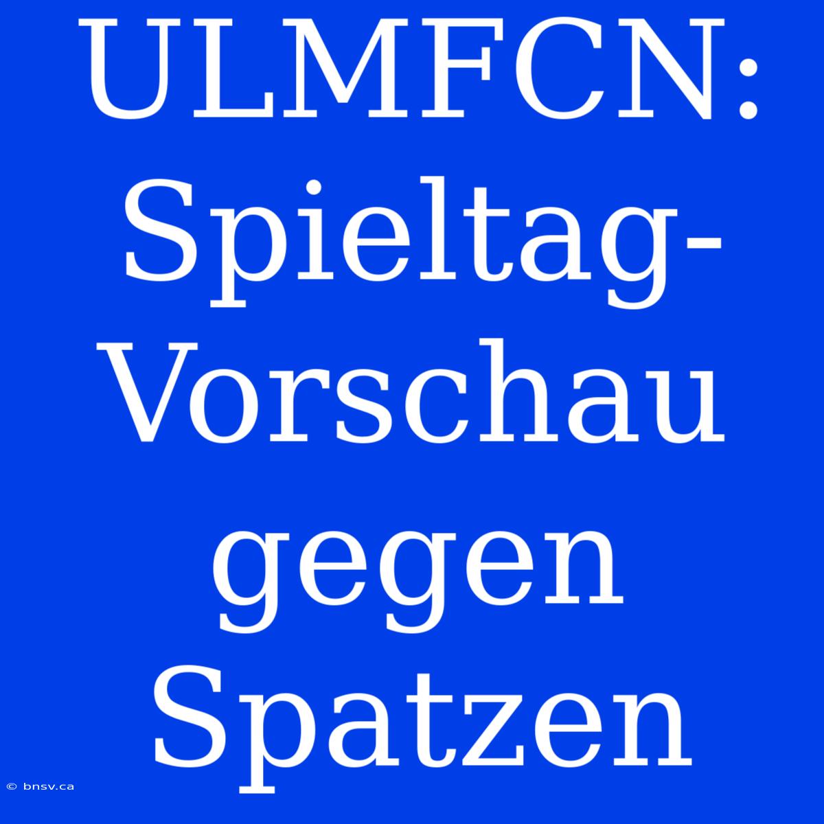 ULMFCN: Spieltag-Vorschau Gegen Spatzen