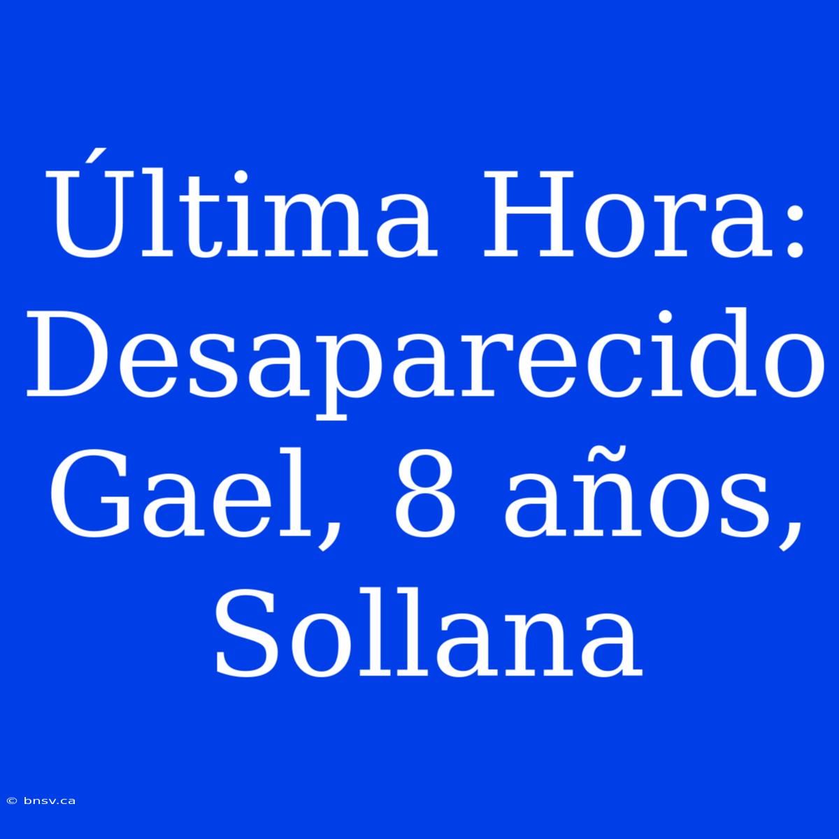 Última Hora: Desaparecido Gael, 8 Años, Sollana