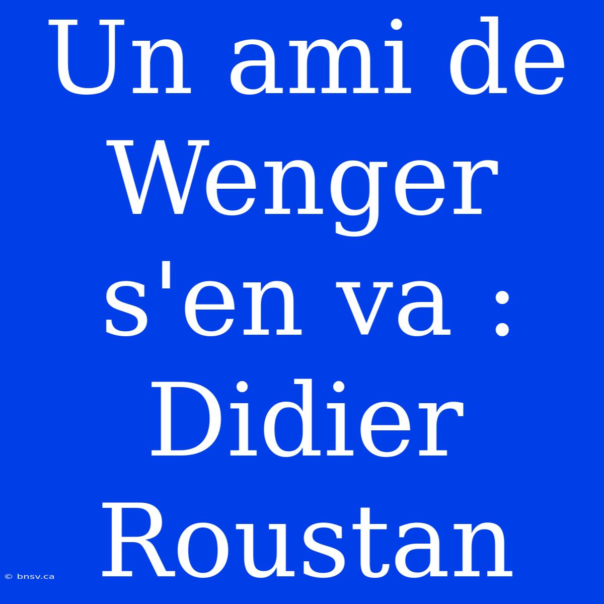 Un Ami De Wenger S'en Va : Didier Roustan