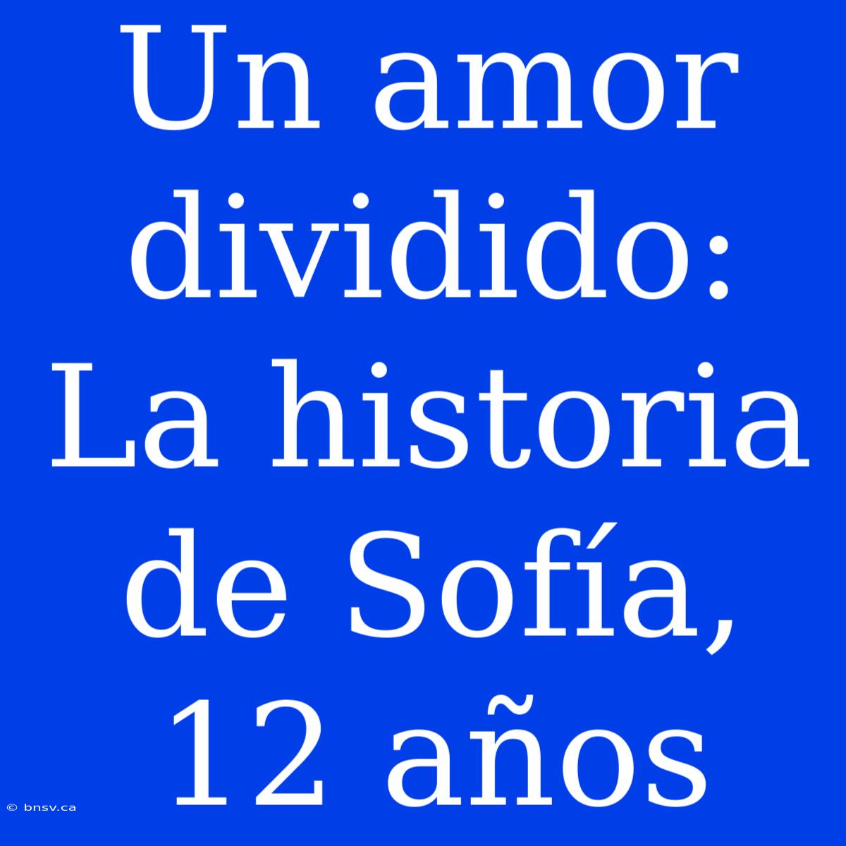 Un Amor Dividido: La Historia De Sofía, 12 Años