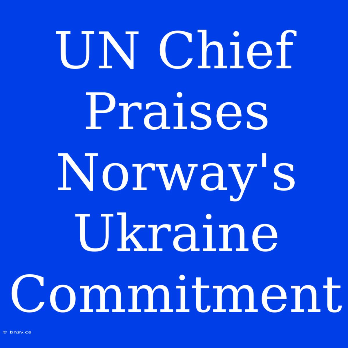 UN Chief Praises Norway's Ukraine Commitment