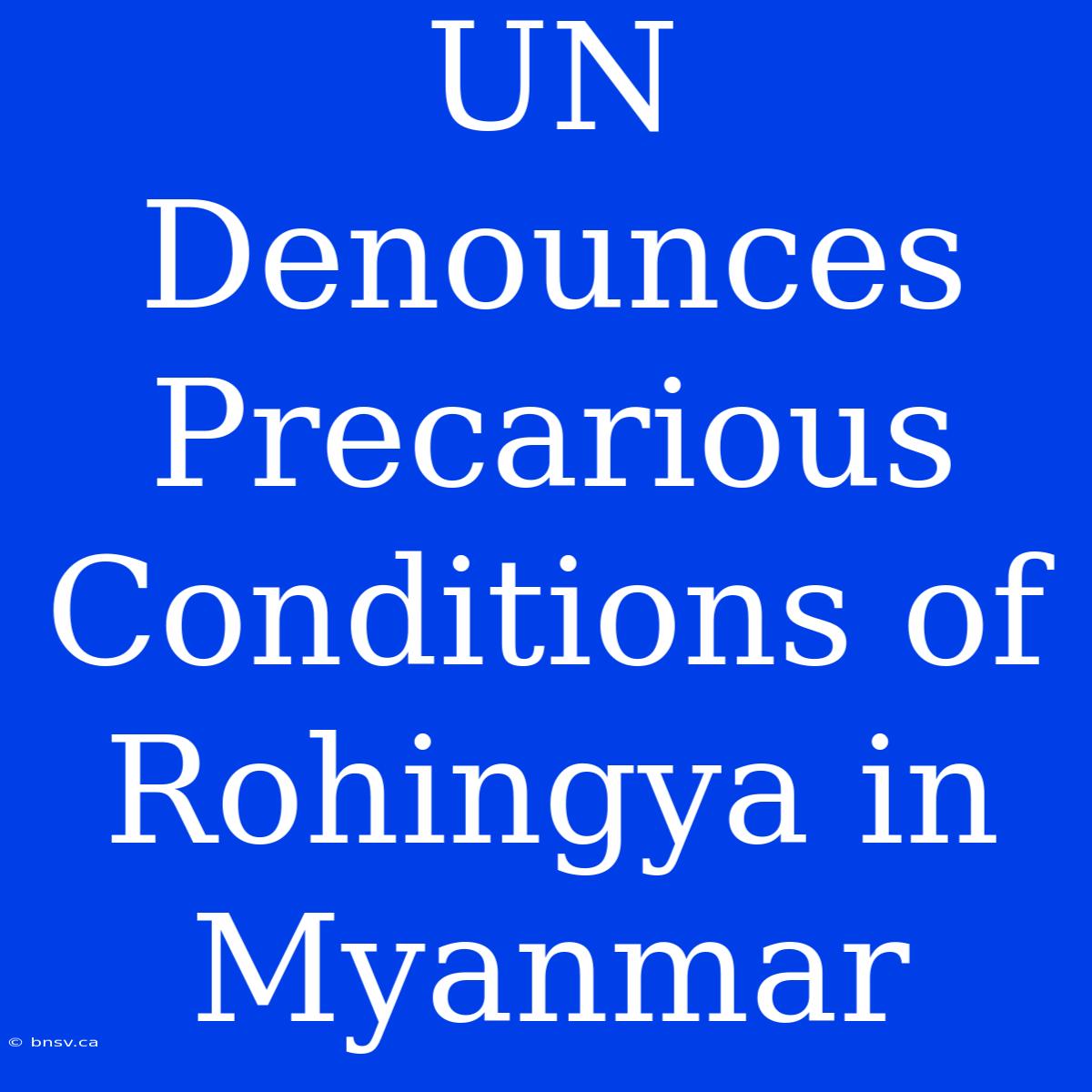 UN Denounces Precarious Conditions Of Rohingya In Myanmar