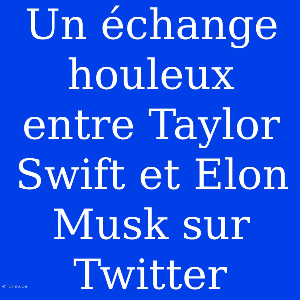 Un Échange Houleux Entre Taylor Swift Et Elon Musk Sur Twitter