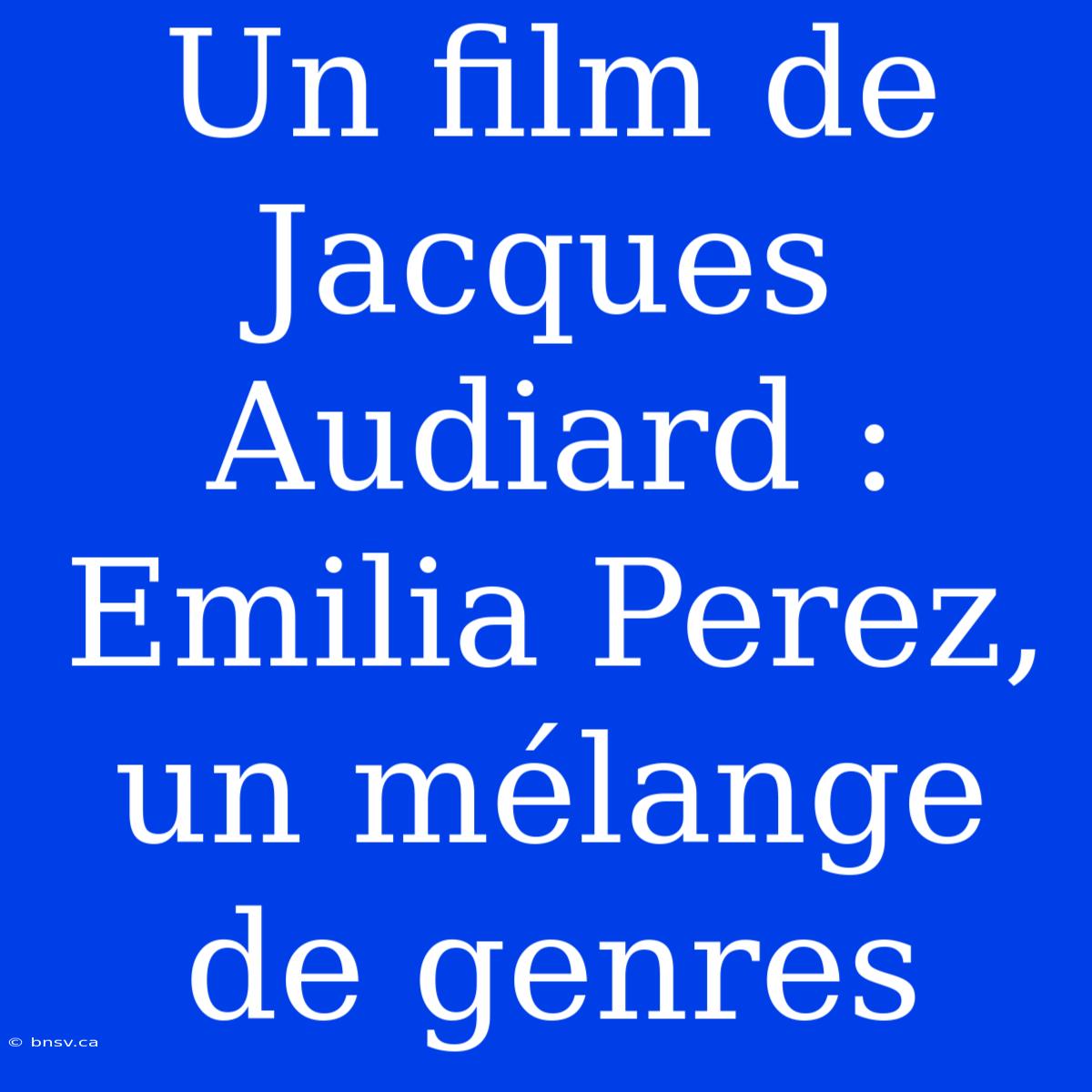 Un Film De Jacques Audiard : Emilia Perez, Un Mélange De Genres