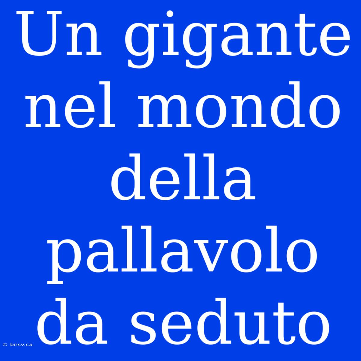 Un Gigante Nel Mondo Della Pallavolo Da Seduto