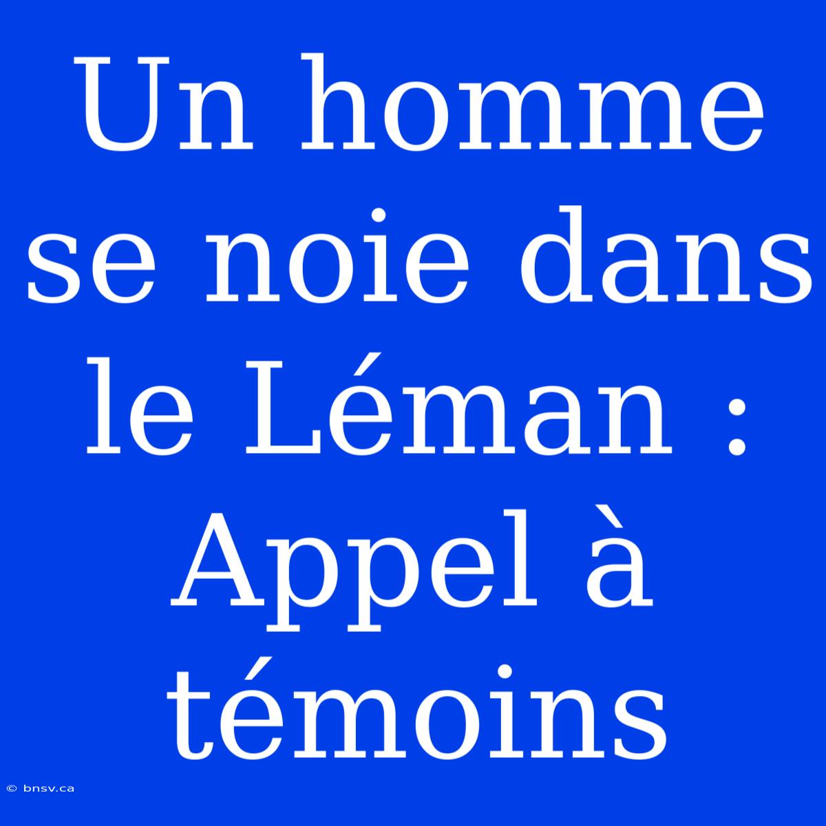 Un Homme Se Noie Dans Le Léman : Appel À Témoins