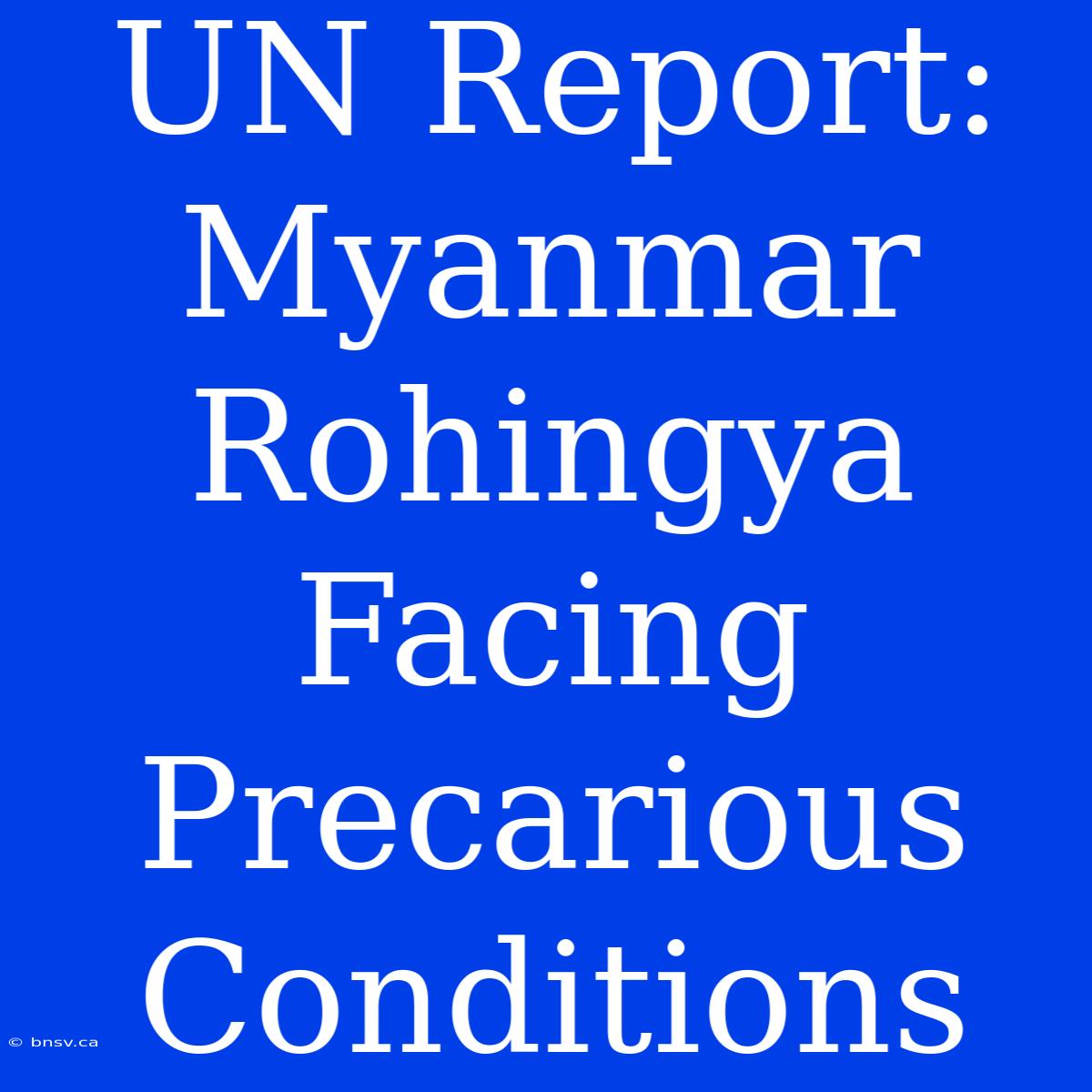 UN Report: Myanmar Rohingya Facing Precarious Conditions