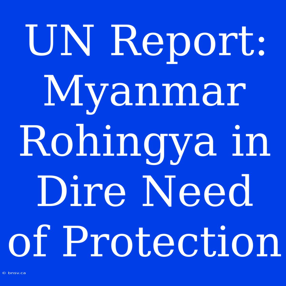 UN Report: Myanmar Rohingya In Dire Need Of Protection