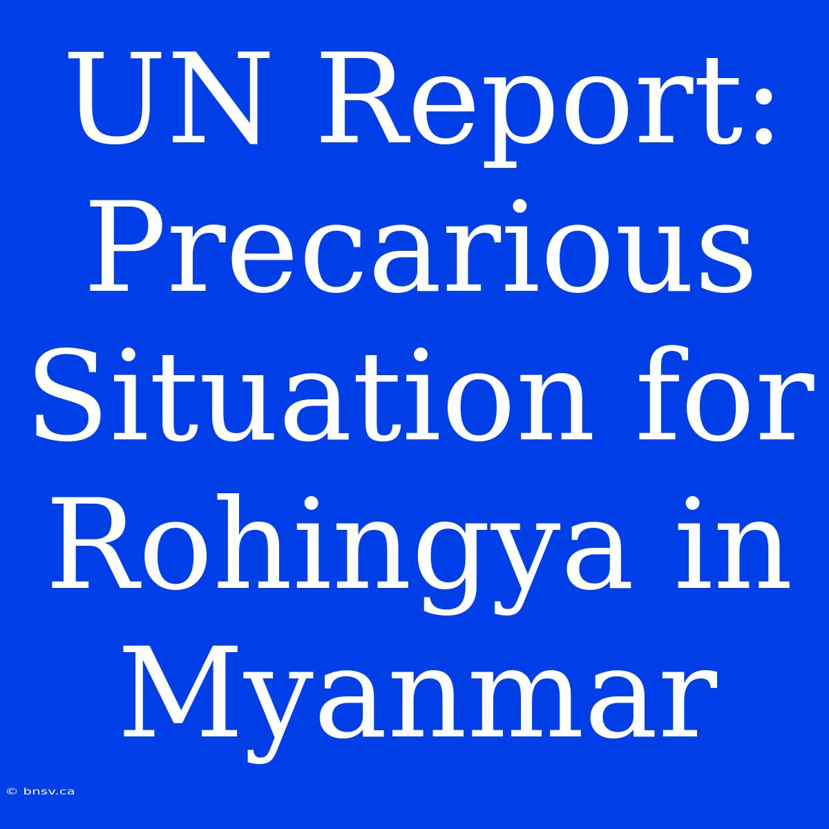 UN Report: Precarious Situation For Rohingya In Myanmar