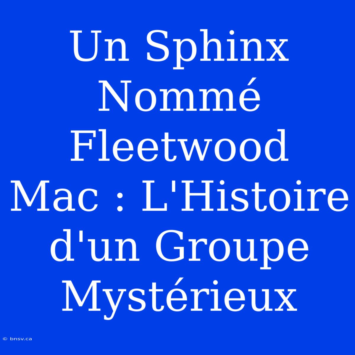 Un Sphinx Nommé Fleetwood Mac : L'Histoire D'un Groupe Mystérieux