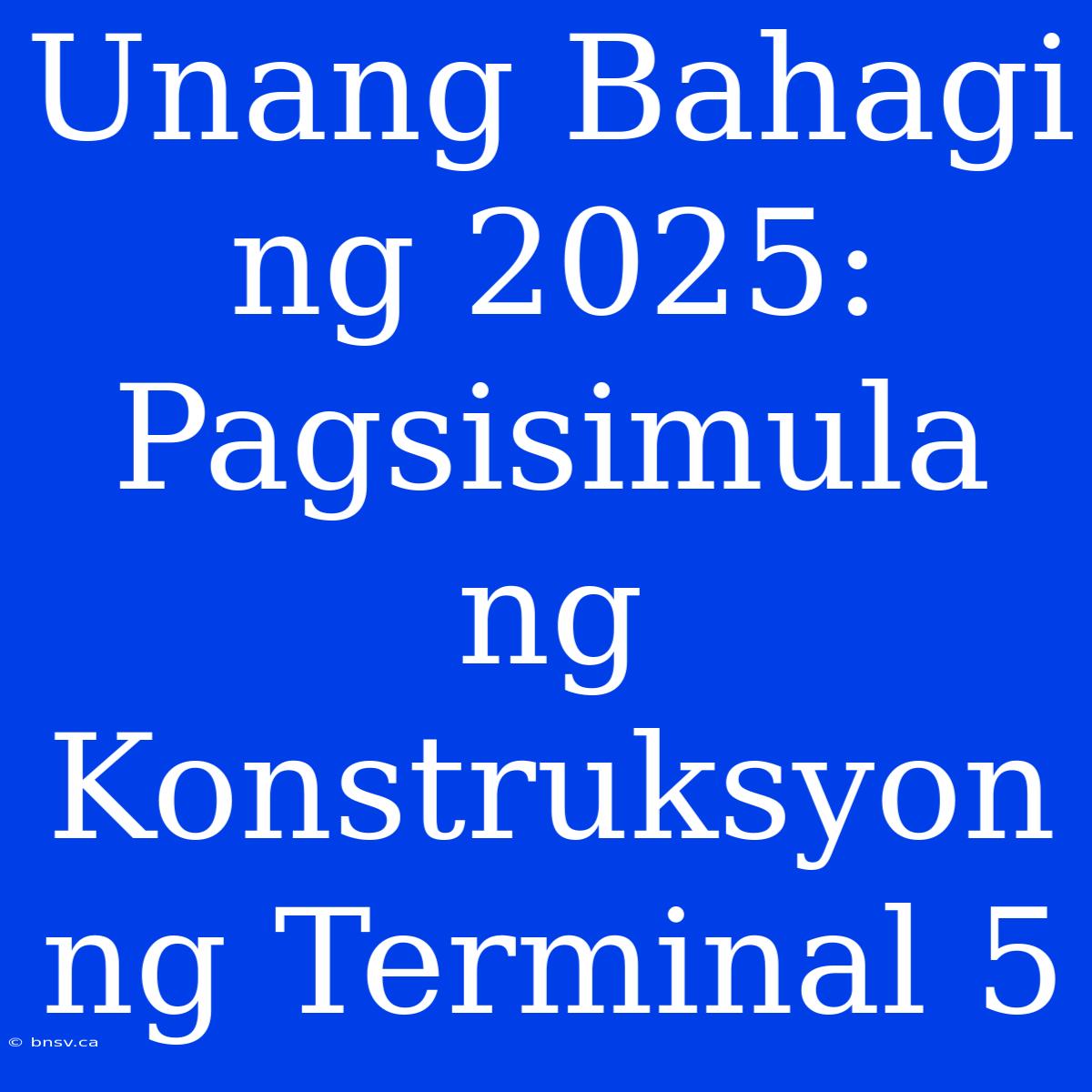 Unang Bahagi Ng 2025: Pagsisimula Ng Konstruksyon Ng Terminal 5