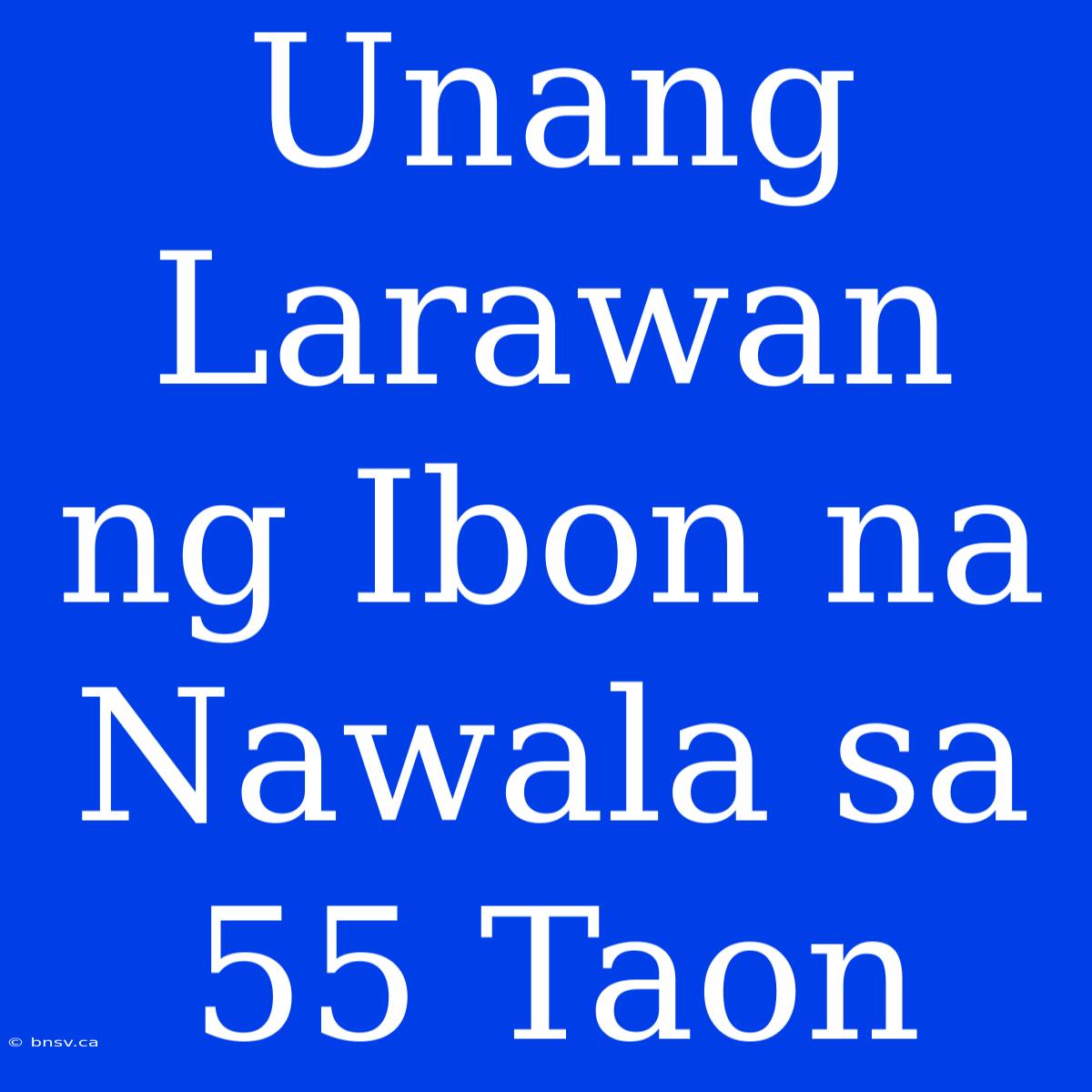 Unang Larawan Ng Ibon Na Nawala Sa 55 Taon