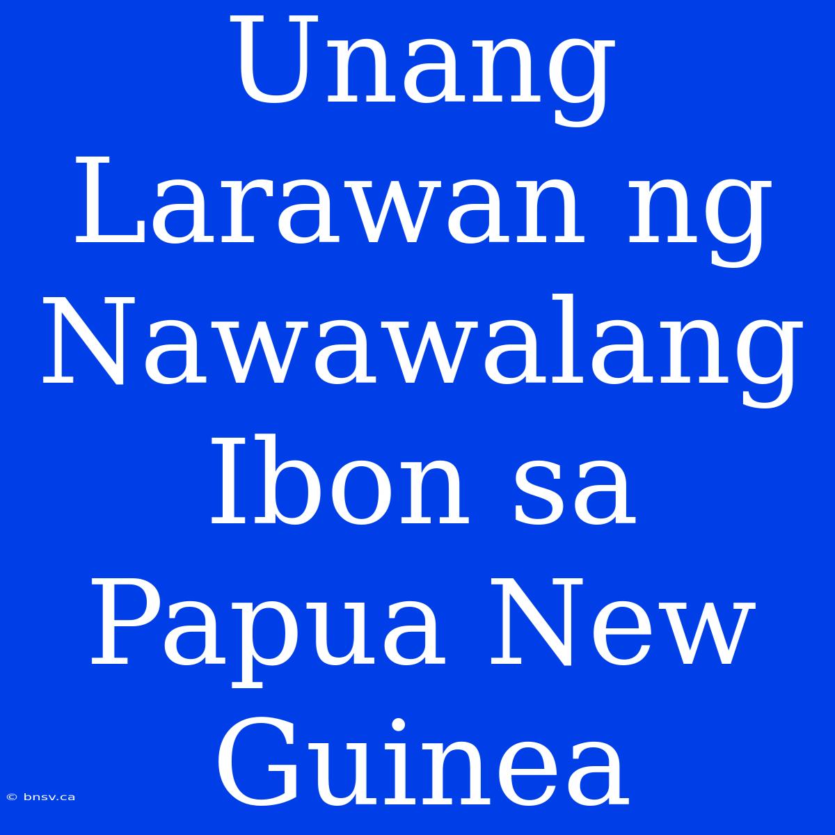 Unang Larawan Ng Nawawalang Ibon Sa Papua New Guinea