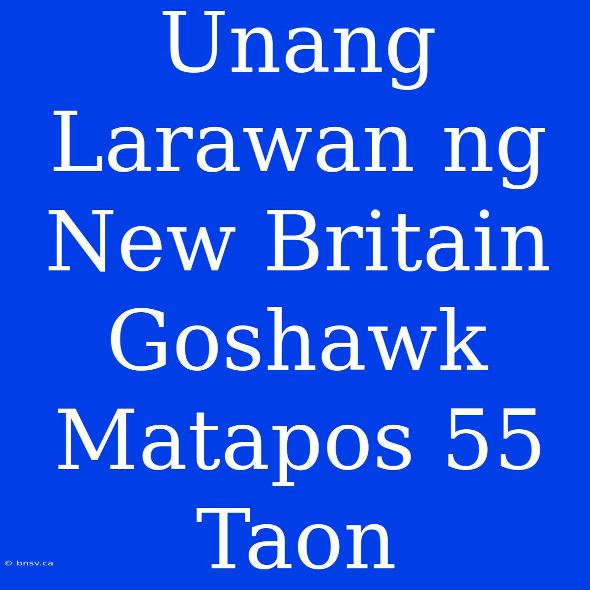 Unang Larawan Ng New Britain Goshawk Matapos 55 Taon