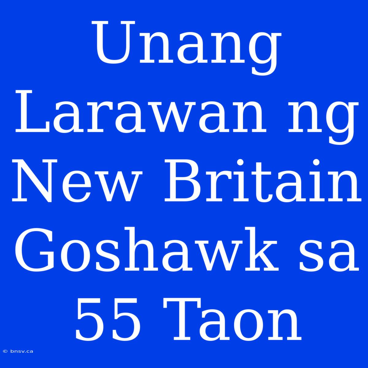 Unang Larawan Ng New Britain Goshawk Sa 55 Taon