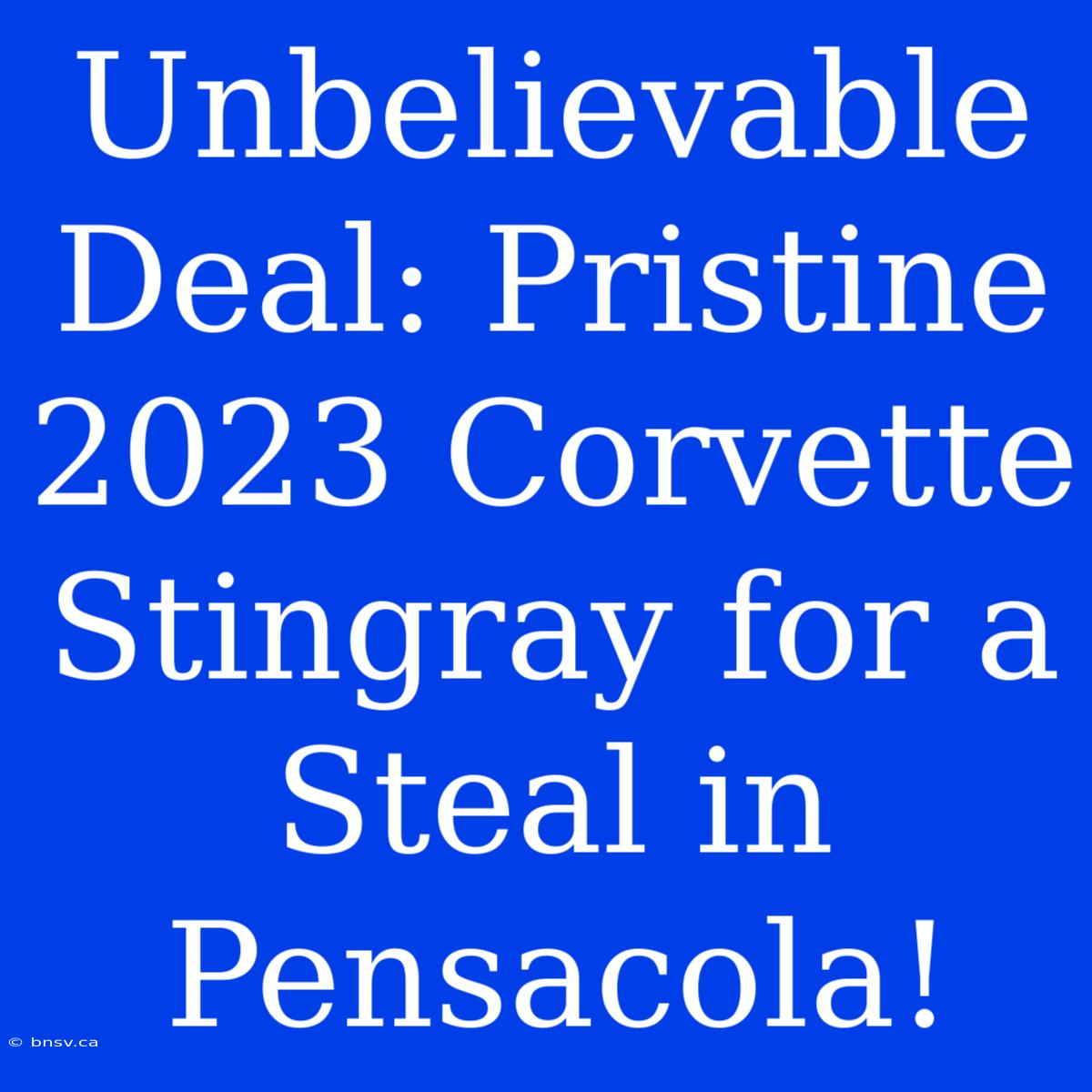 Unbelievable Deal: Pristine 2023 Corvette Stingray For A Steal In Pensacola!