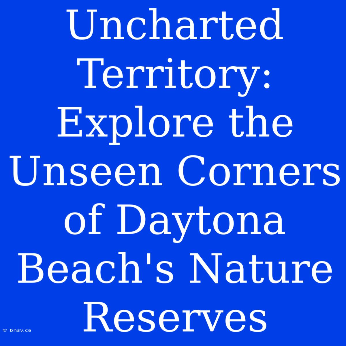 Uncharted Territory: Explore The Unseen Corners Of Daytona Beach's Nature Reserves