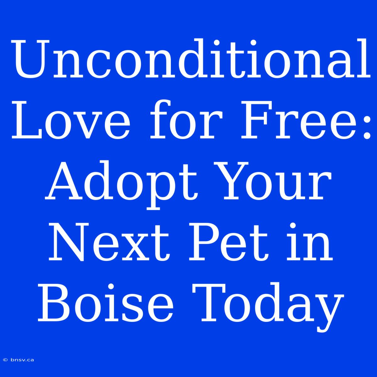 Unconditional Love For Free: Adopt Your Next Pet In Boise Today