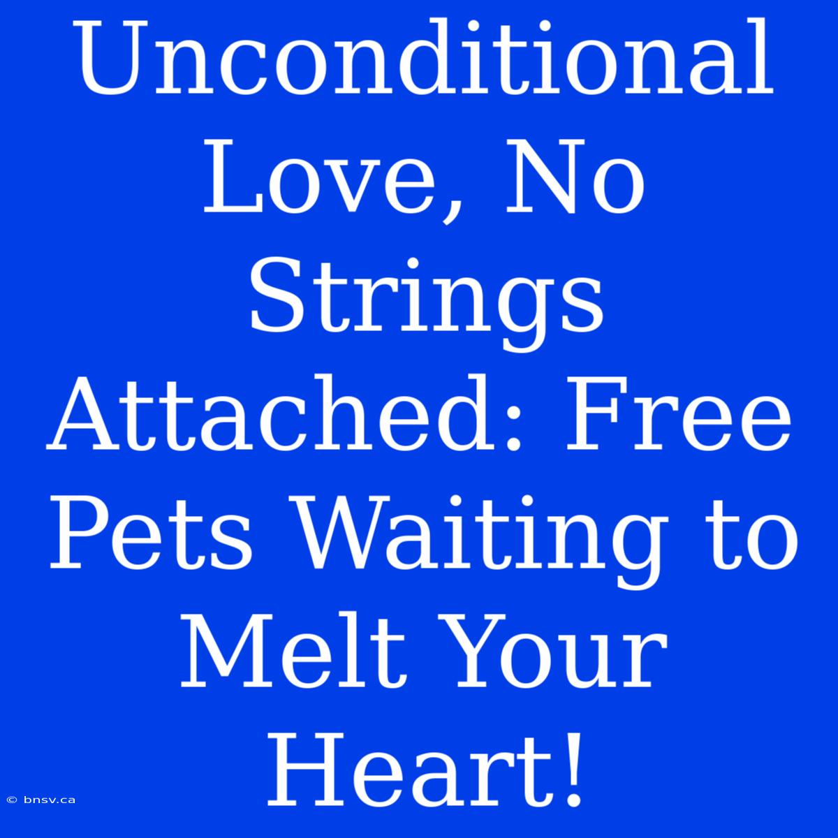 Unconditional Love, No Strings Attached: Free Pets Waiting To Melt Your Heart!