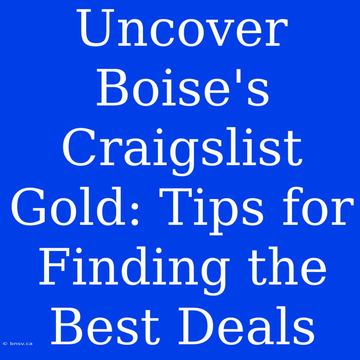 Uncover Boise's Craigslist Gold: Tips For Finding The Best Deals