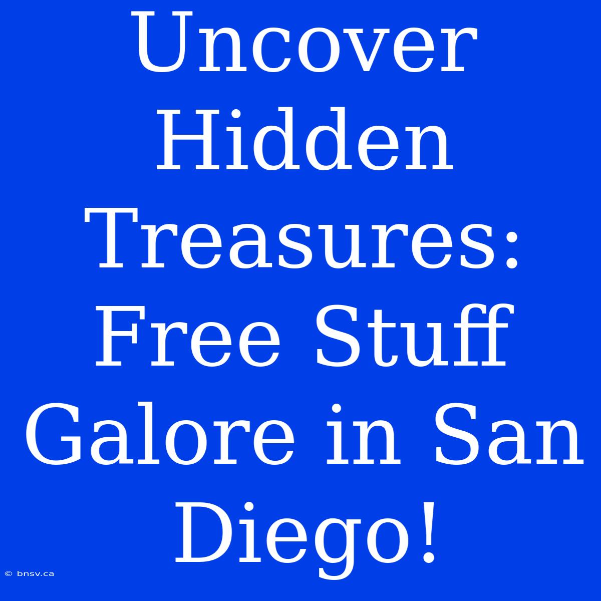 Uncover Hidden Treasures: Free Stuff Galore In San Diego!