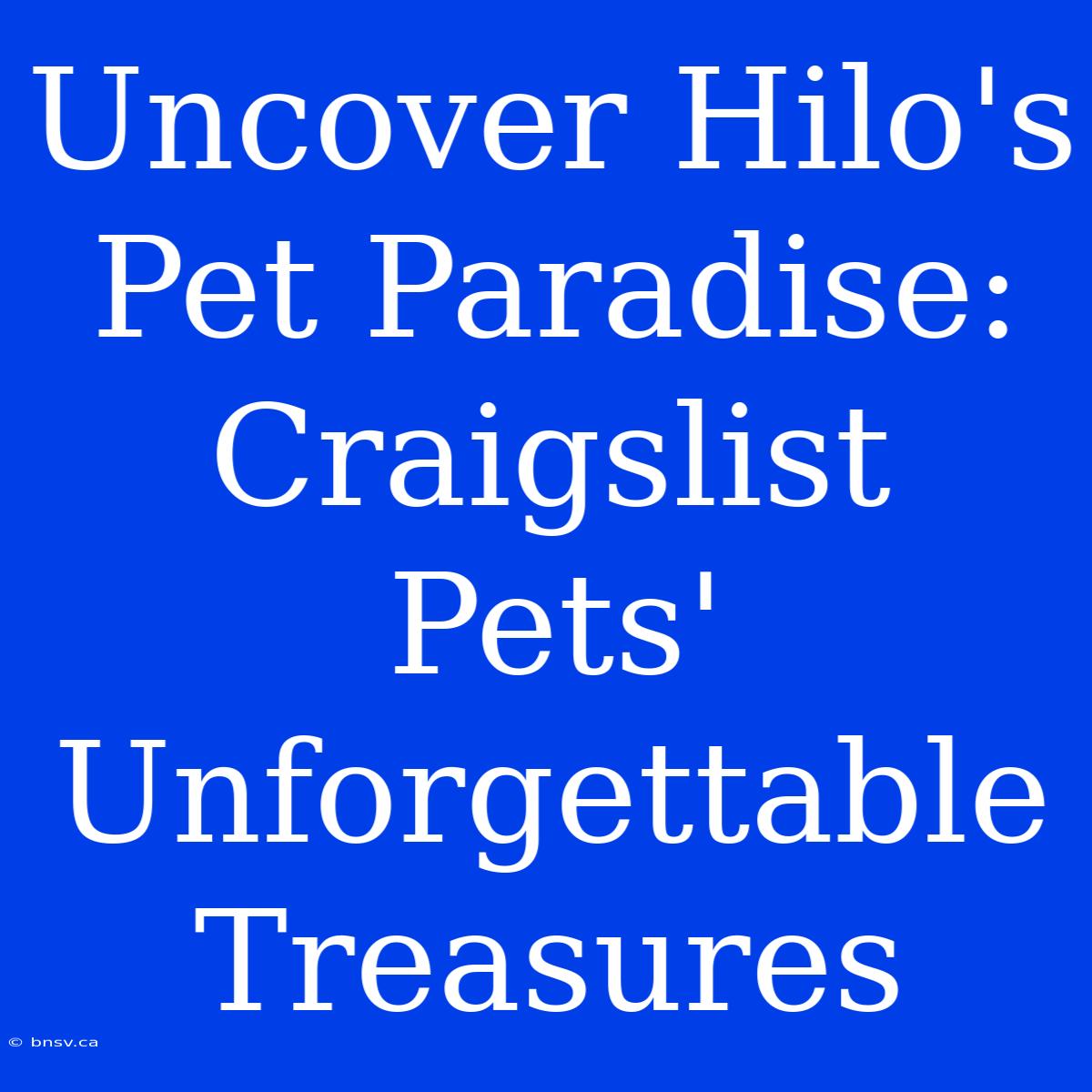 Uncover Hilo's Pet Paradise: Craigslist Pets' Unforgettable Treasures