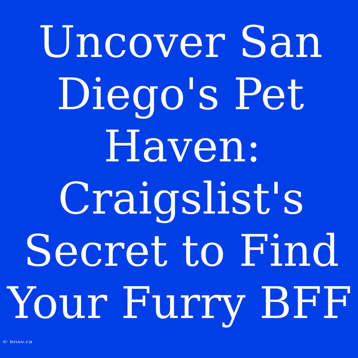 Uncover San Diego's Pet Haven: Craigslist's Secret To Find Your Furry BFF