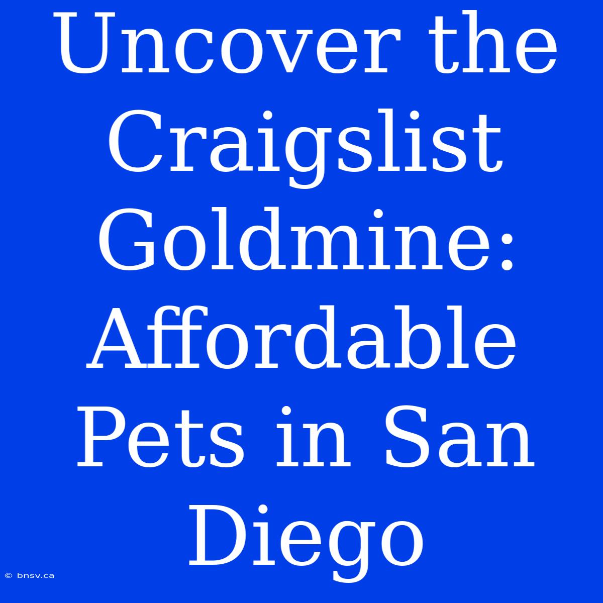 Uncover The Craigslist Goldmine: Affordable Pets In San Diego