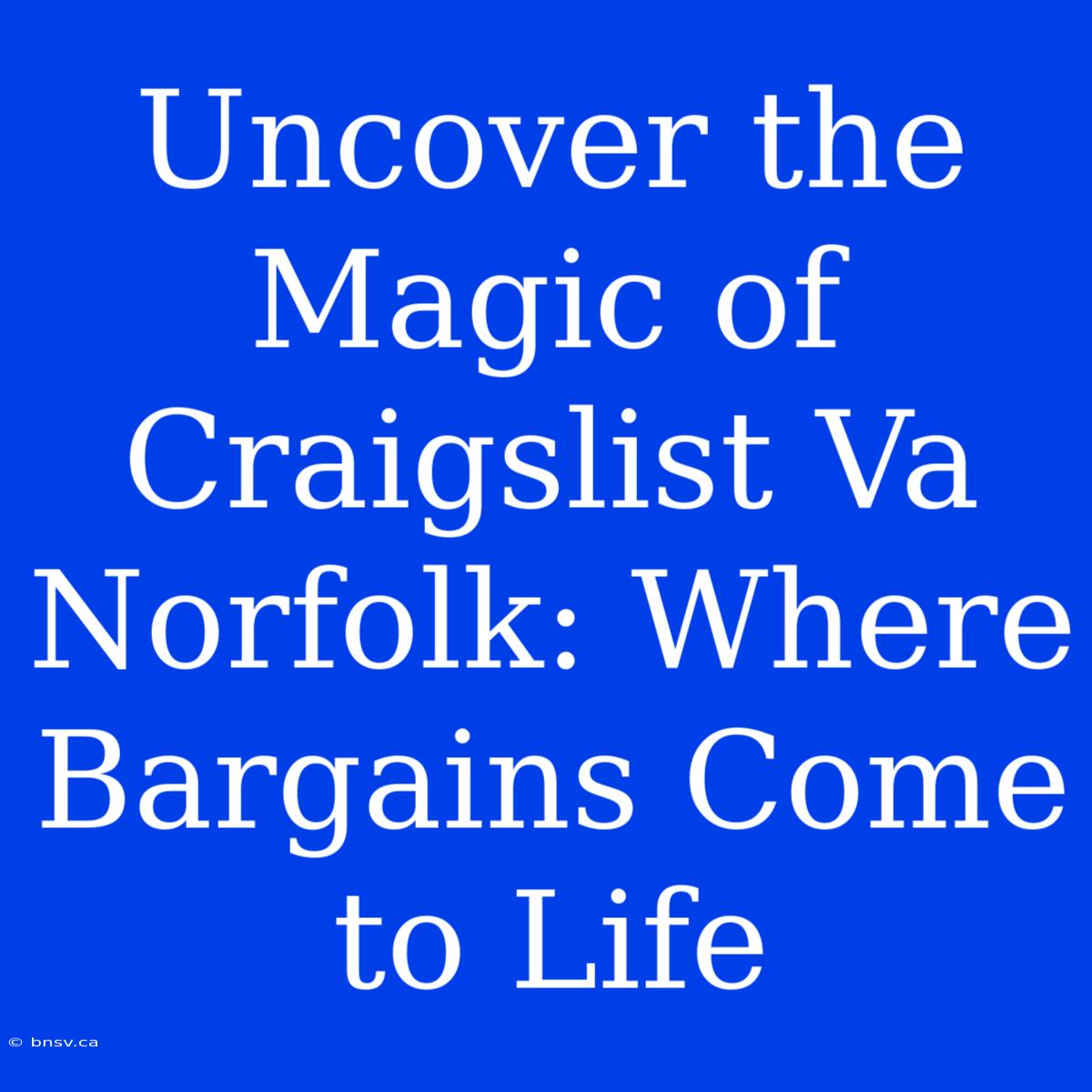 Uncover The Magic Of Craigslist Va Norfolk: Where Bargains Come To Life