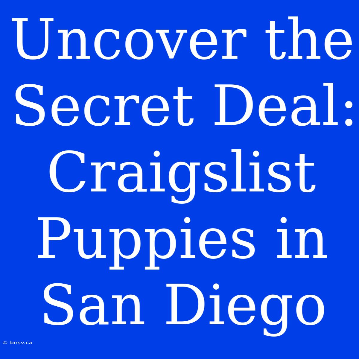 Uncover The Secret Deal: Craigslist Puppies In San Diego