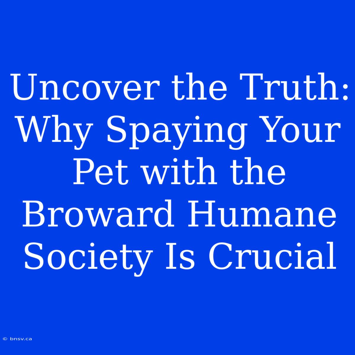 Uncover The Truth: Why Spaying Your Pet With The Broward Humane Society Is Crucial