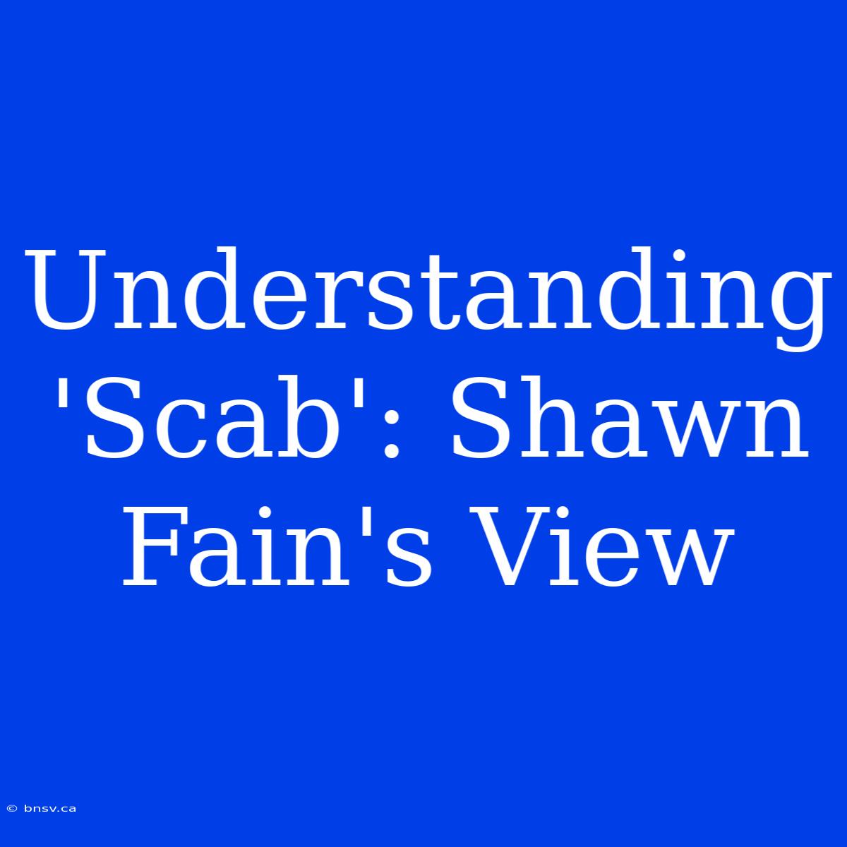 Understanding 'Scab': Shawn Fain's View