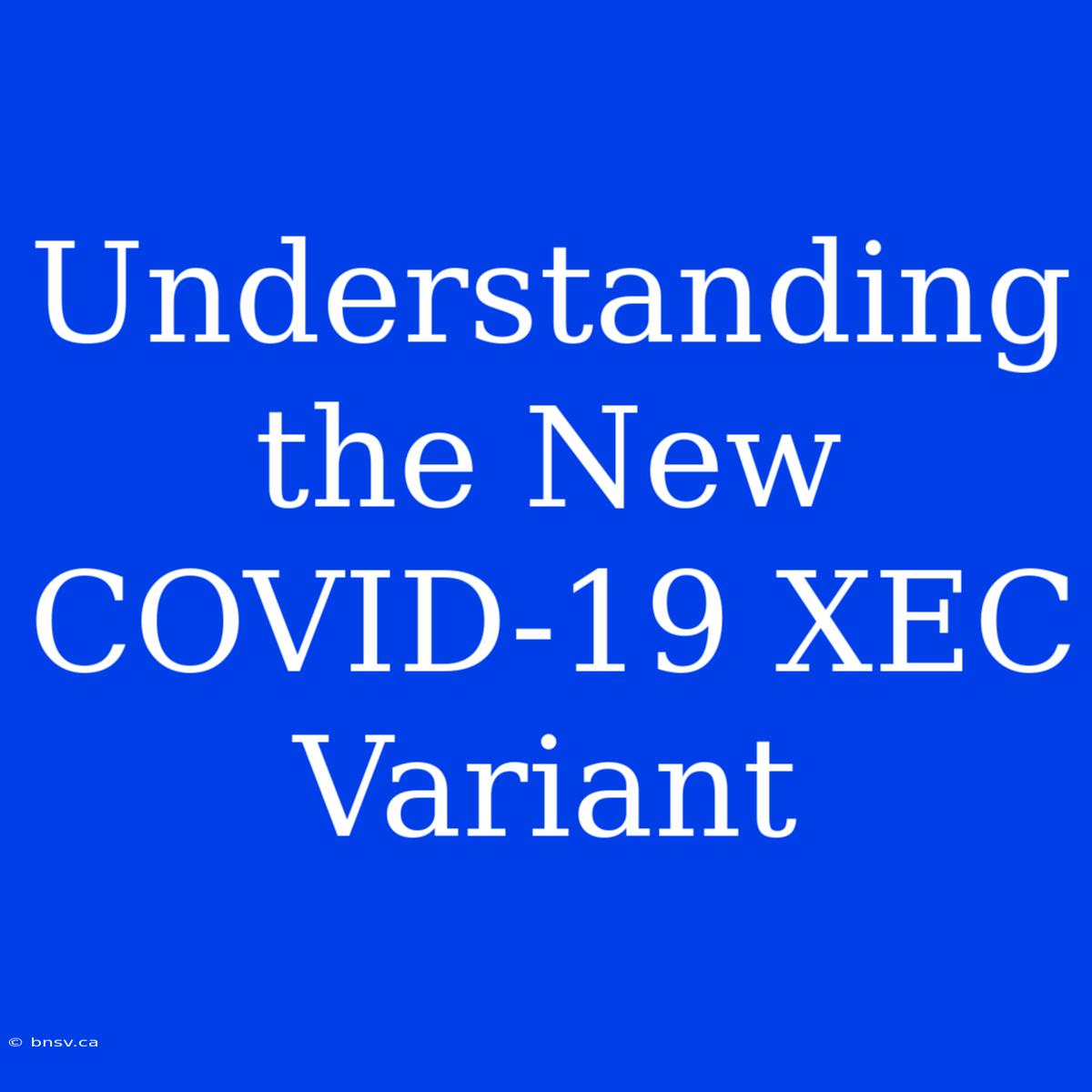 Understanding The New COVID-19 XEC Variant