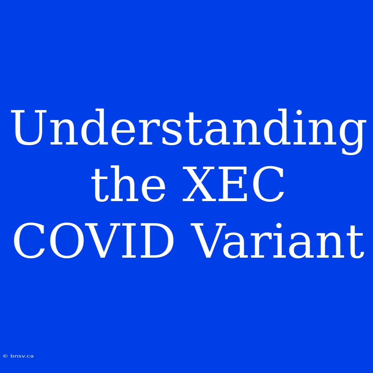 Understanding The XEC COVID Variant