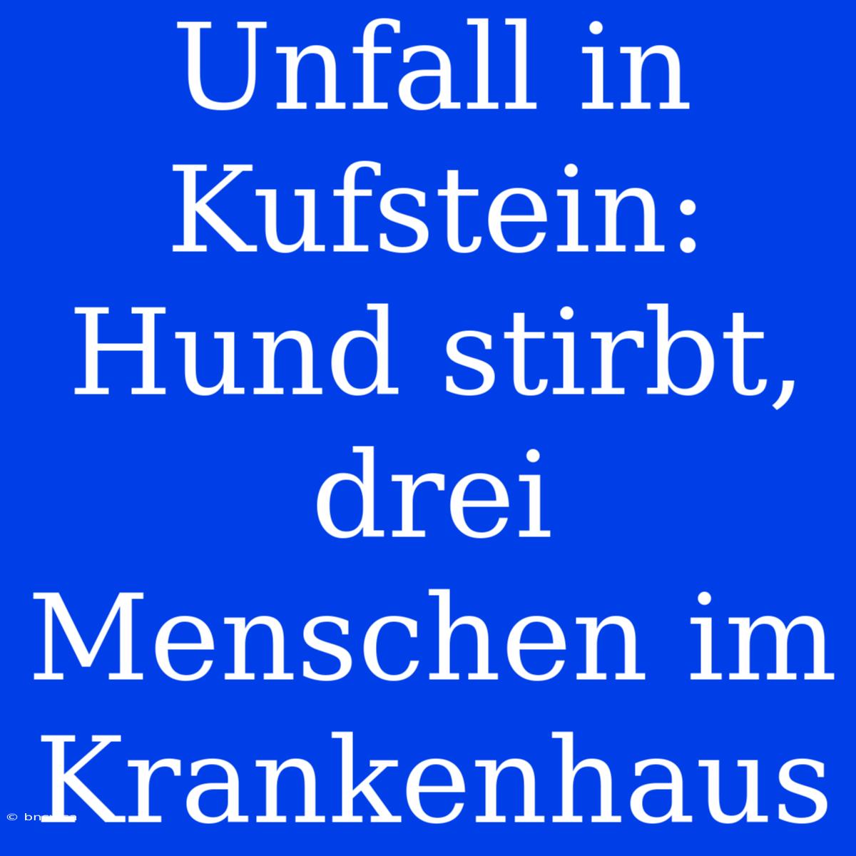 Unfall In Kufstein: Hund Stirbt, Drei Menschen Im Krankenhaus