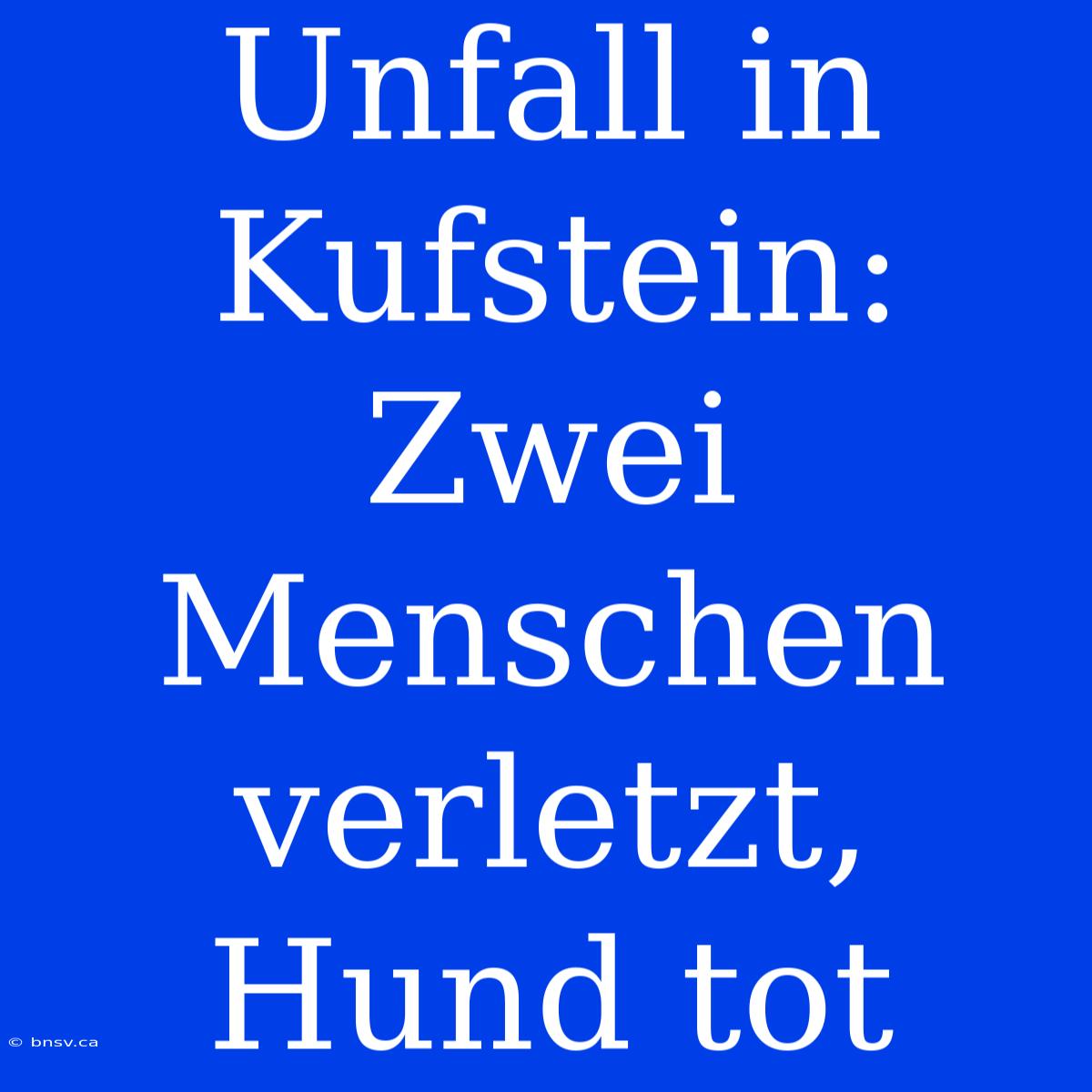 Unfall In Kufstein: Zwei Menschen Verletzt, Hund Tot