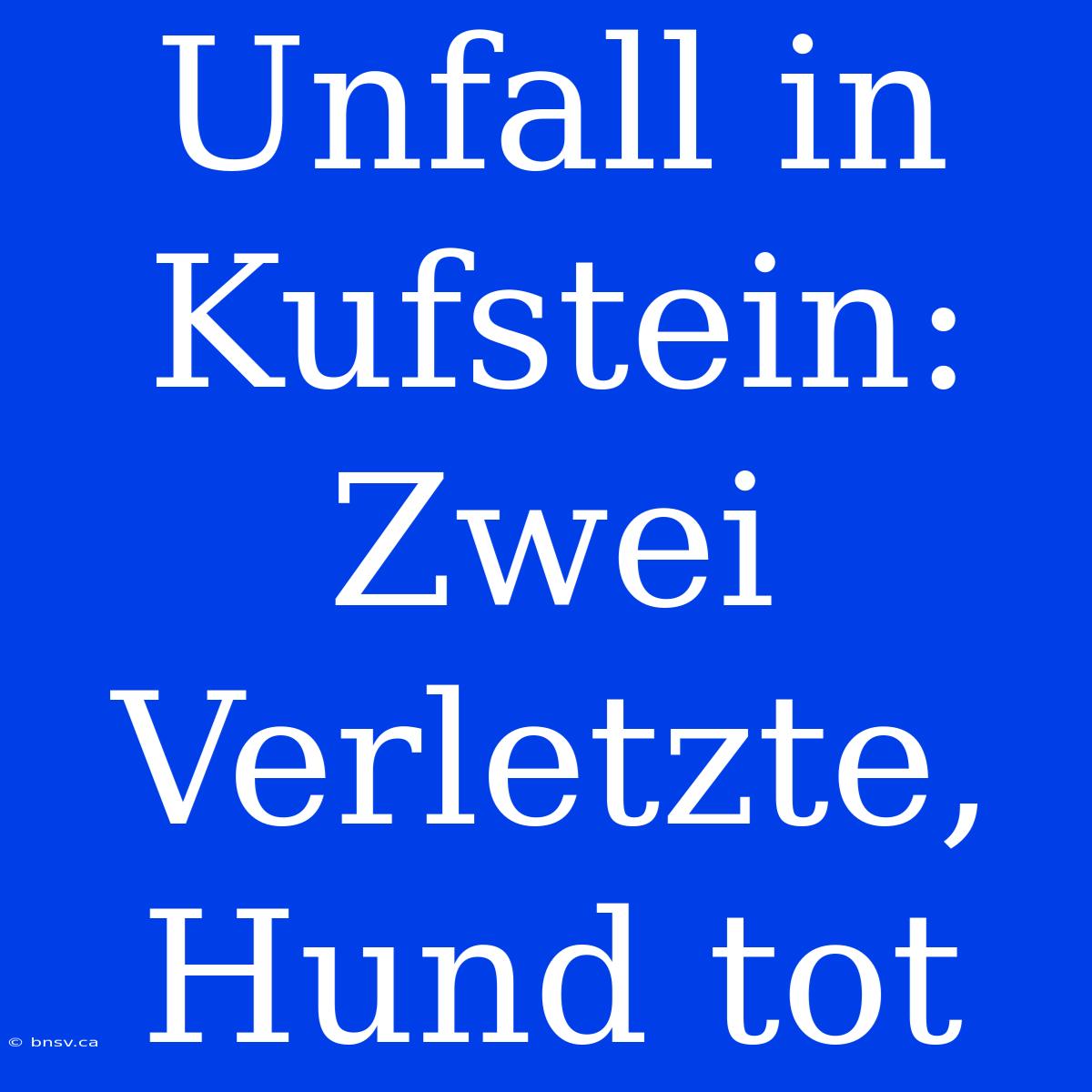 Unfall In Kufstein: Zwei Verletzte, Hund Tot