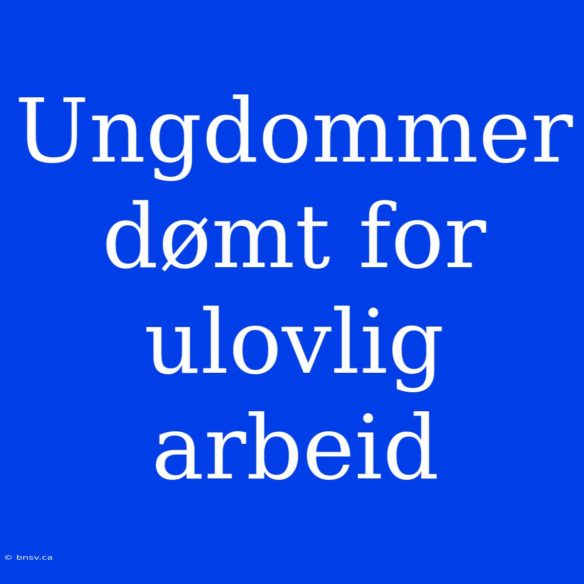 Ungdommer Dømt For Ulovlig Arbeid